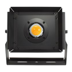 PKG 55W Flood Light